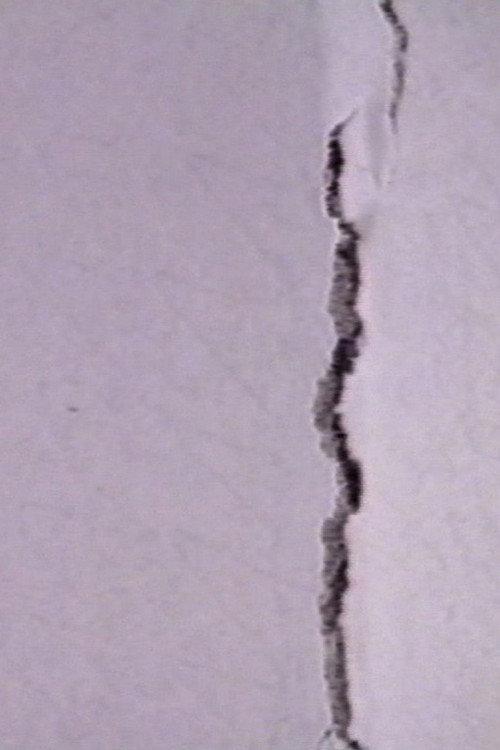White Screen 1988 official movie poster