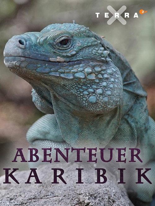 Abenteuer Karibik 2017 official movie poster