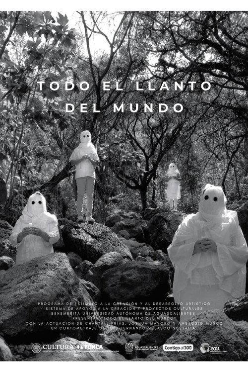 Todo el llanto del mundo 2022 official movie poster