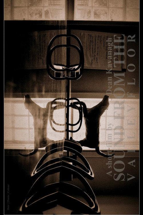 Sound from the Valley Floor 2012 official movie poster