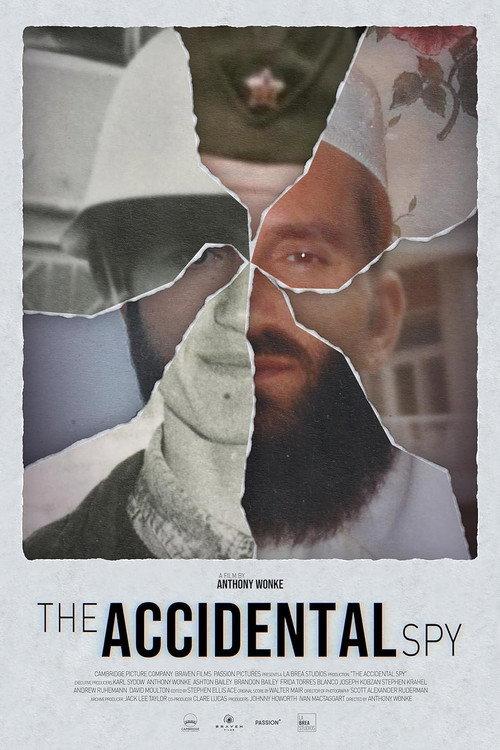 The Accidental Spy 2024 official movie poster