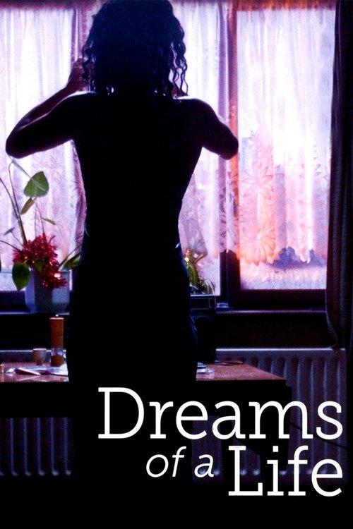 Dreams of a Life 2011 official movie poster