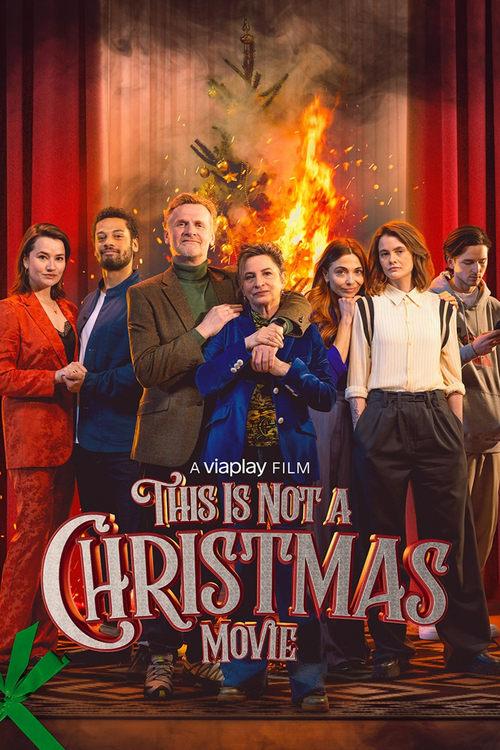 This Is Not a Christmas Movie 2024 official movie poster