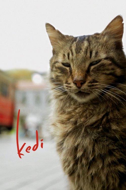 Kedi 2017 official movie poster