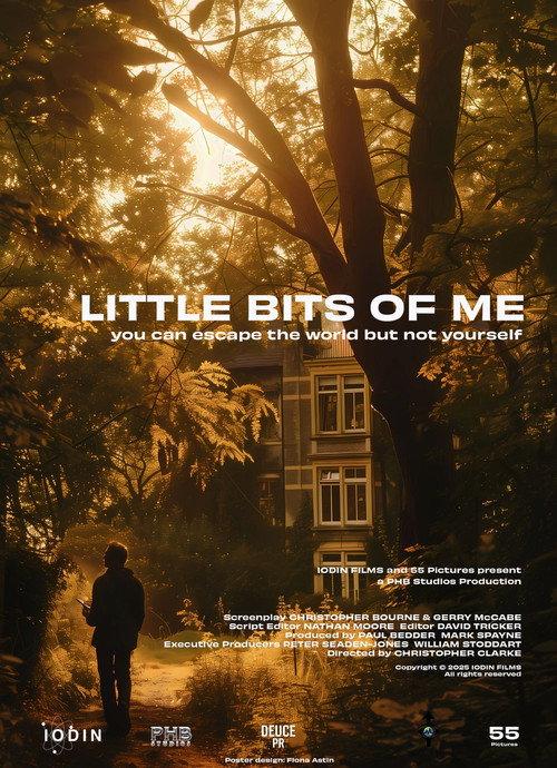 Little Bits of Me  official movie poster