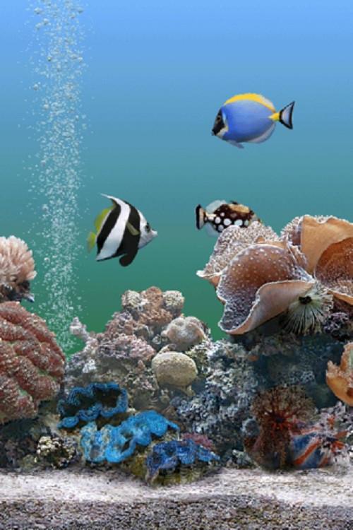 Coral Dreamscapes: An Exotic Aquarium 2000 official movie poster