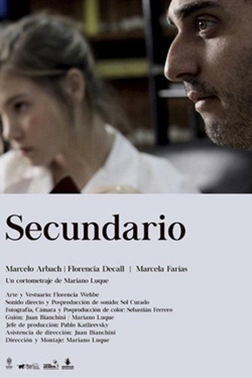 Secundario 2010 official movie poster