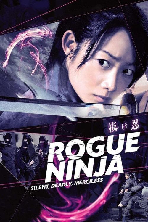Rogue Ninja 2009 official movie poster