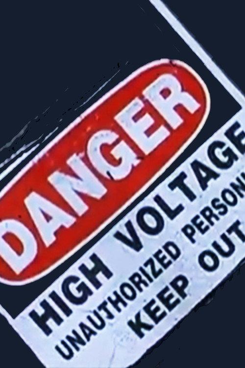 Danger: High Voltage 2007 official movie poster