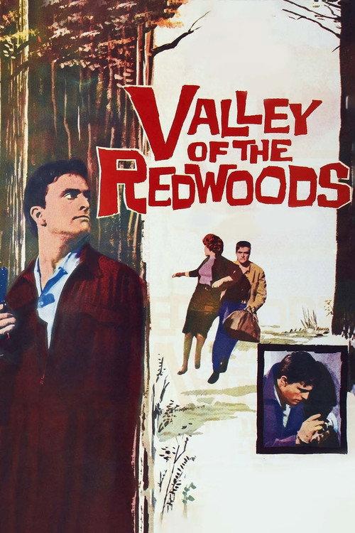 Valley of the Redwoods 1960 official movie poster