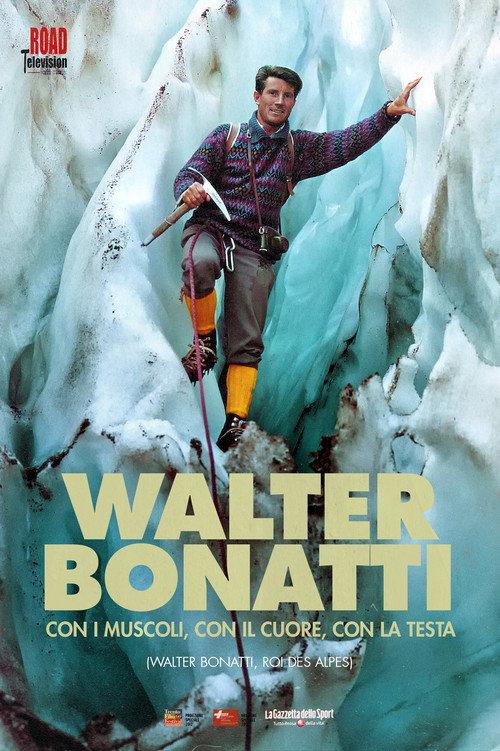 Walter Bonatti, King of the Alps 2012 official movie poster