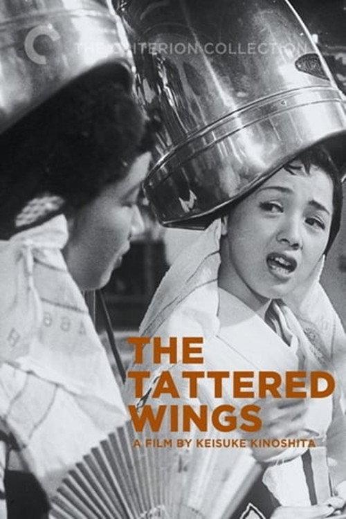 The Tattered Wings 1955 official movie poster