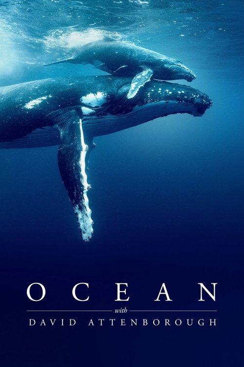 Ocean with David Attenborough 2025 official movie poster