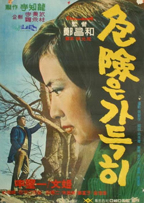A Full Danger 1967 official movie poster