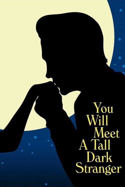 You Will Meet a Tall Dark Stranger 2010 official movie poster
