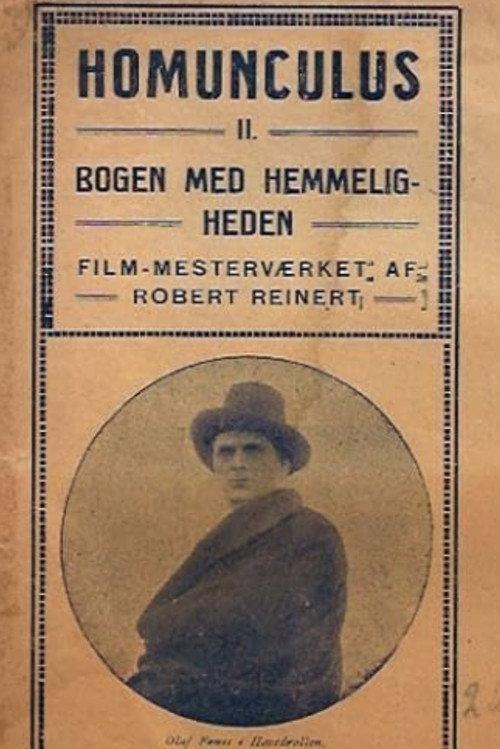 The Mysterious Book 1916 official movie poster