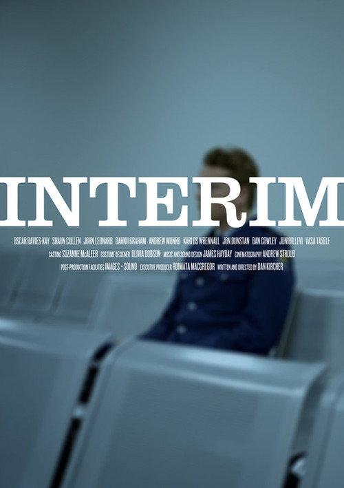 Interim 2013 official movie poster