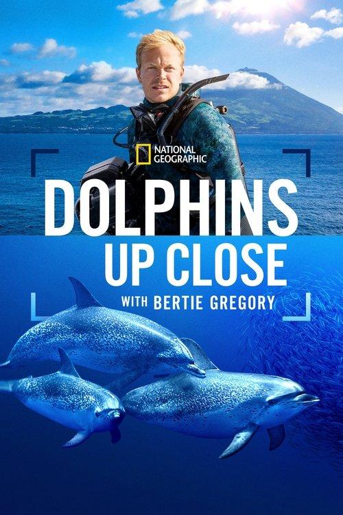 Dolphins Up Close with Bertie Gregory 2025 official movie poster