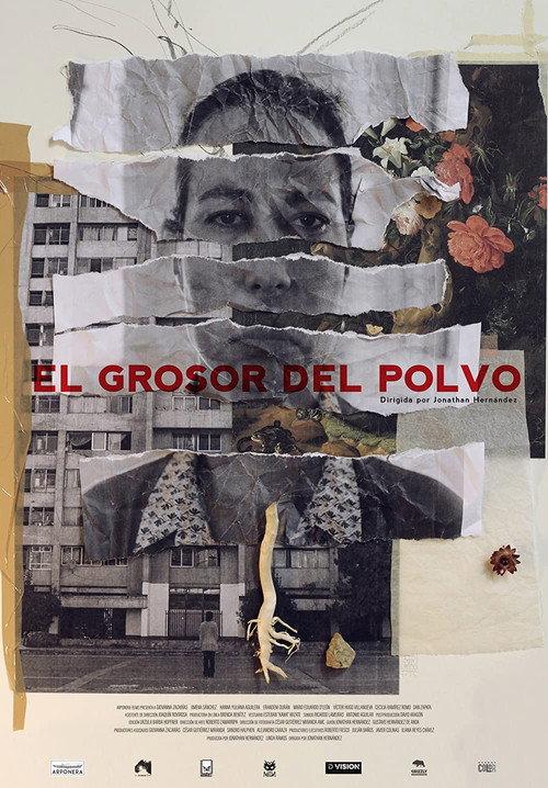 El Grosor del Polvo 2023 official movie poster