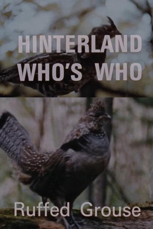 Hinterland Who's Who: Ruffed Grouse 1969 official movie poster
