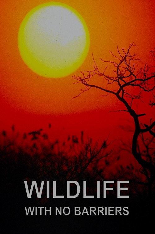 Wildlife With No Barriers 2010 official movie poster