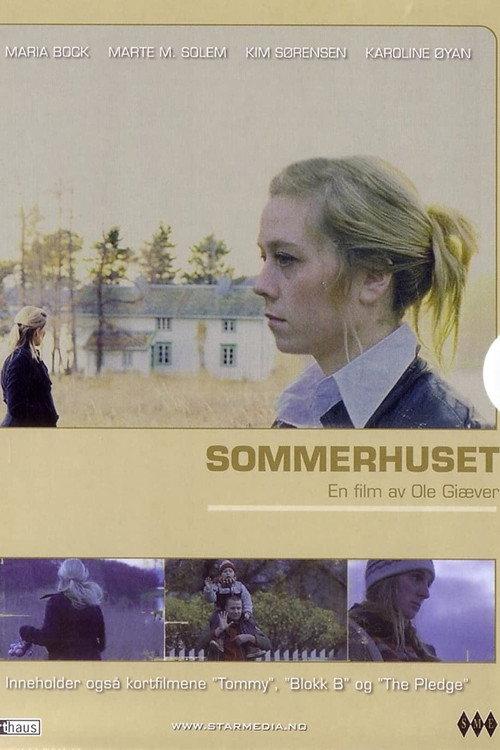 Summers Past 2008 official movie poster