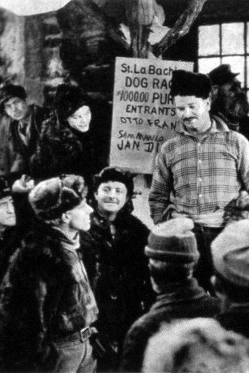 The Northern Trail 1921 official movie poster
