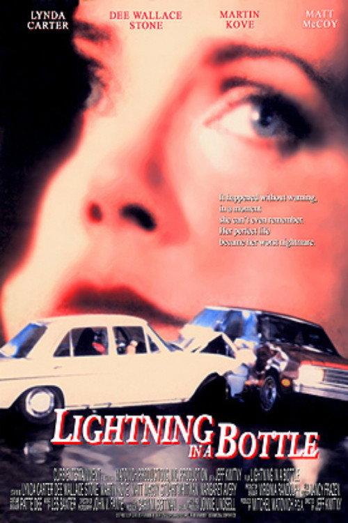 Lightning in a Bottle 1993 official movie poster
