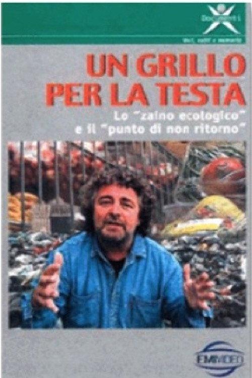 Un Grillo per la testa 1995 official movie poster