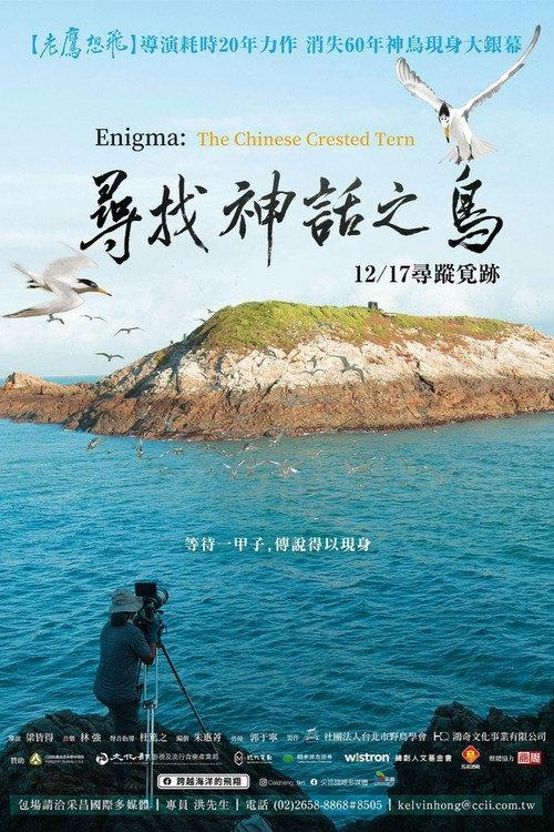 Enigma: The Chinese Crested Tern 2021 official movie poster