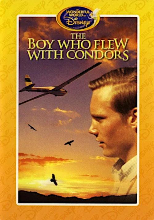 The Boy Who Flew with Condors 1967 official movie poster