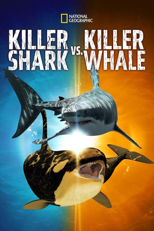 Killer Shark Vs. Killer Whale 2021 official movie poster
