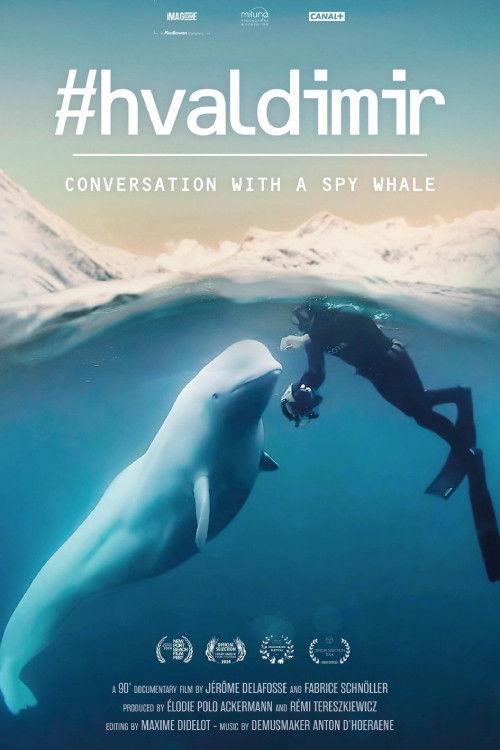 #Hvaldimir, Conversation With a Spy Whale 2024 official movie poster