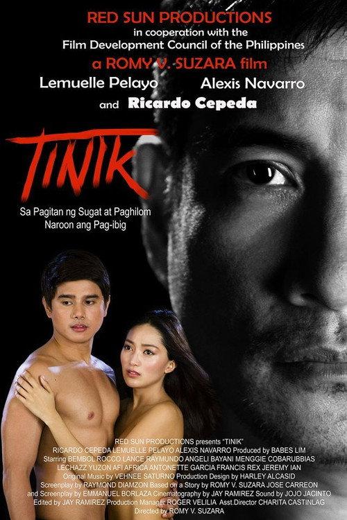 Tinik 2013 official movie poster