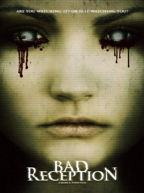 Bad Reception 2009 official movie poster