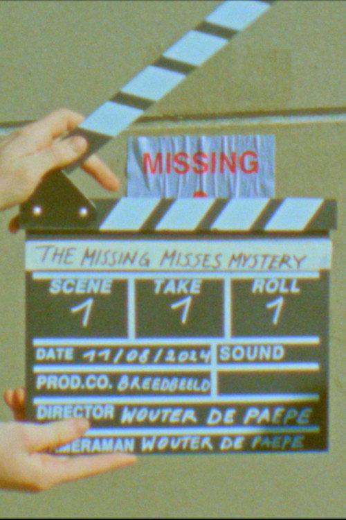 The Missing Misses Mystery 2024 official movie poster