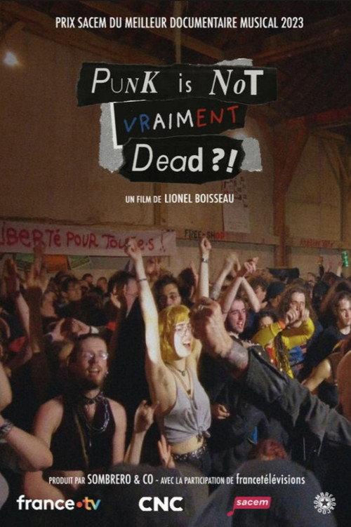 Punk is not vraiment dead ?! 2023 official movie poster