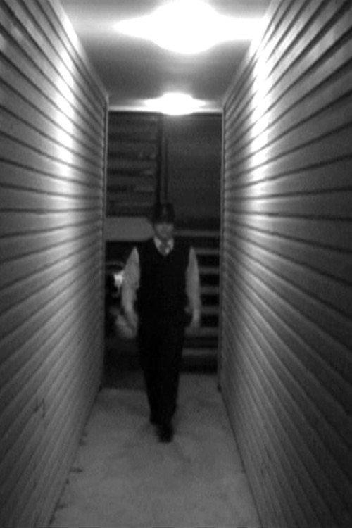 A Walking Shadow 2007 official movie poster