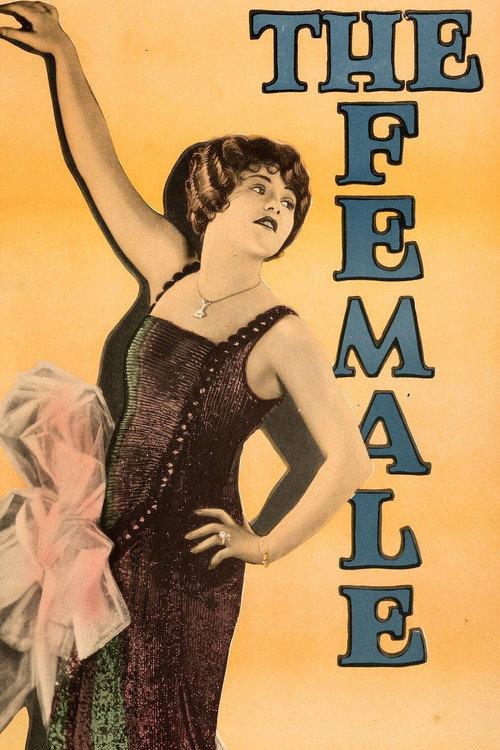 The Female 1924 official movie poster