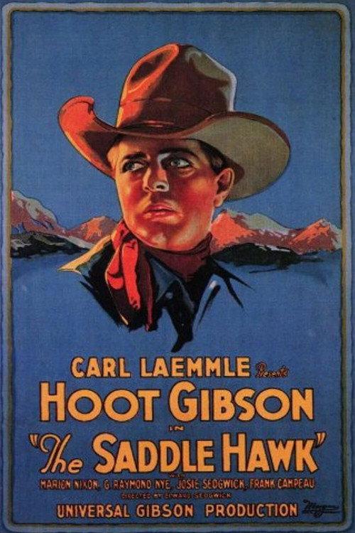 The Saddle Hawk 1925 official movie poster
