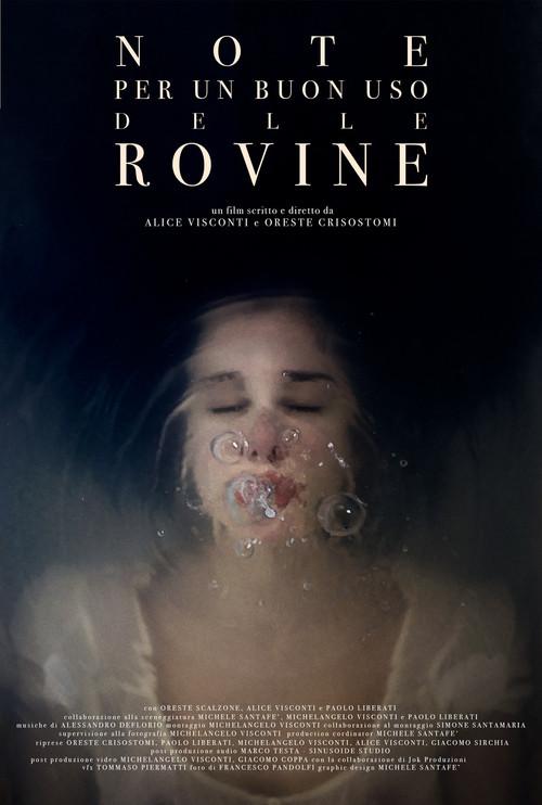 Notes For a Good Use of the Ruins 2024 official movie poster