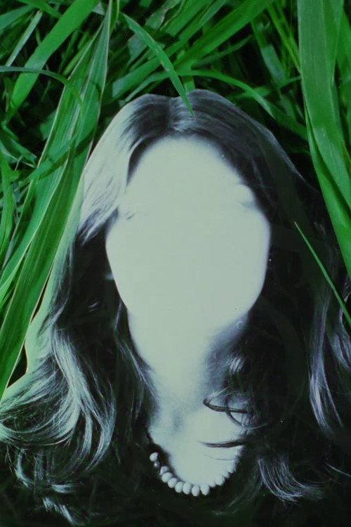 The Life Story Of Bruno S. Retrieved From A Drawer 1979 official movie poster