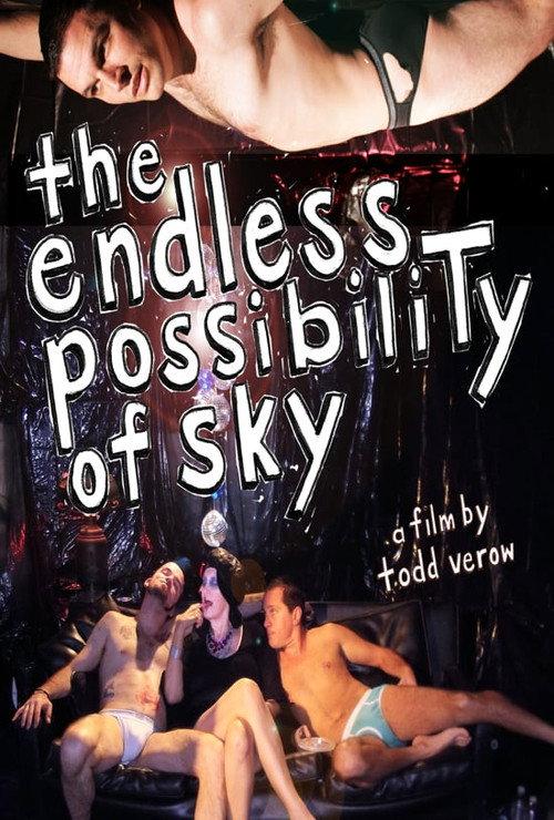 The Endless Possibility of Sky 2012 official movie poster