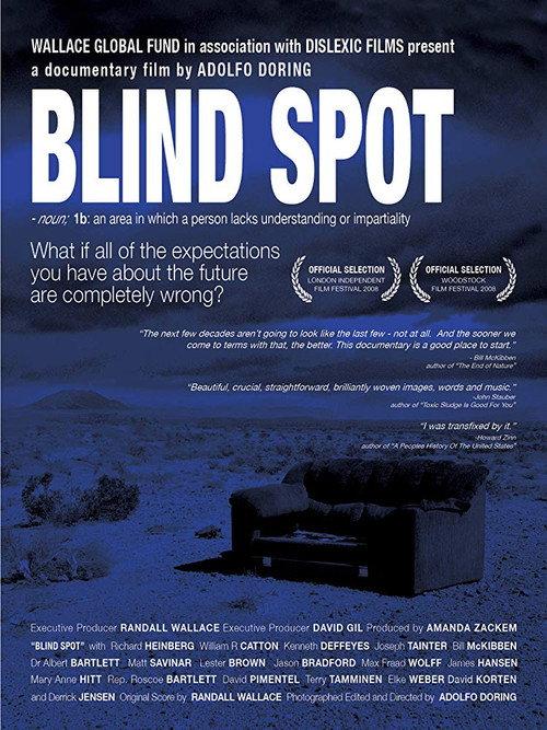 Blind Spot 2008 official movie poster