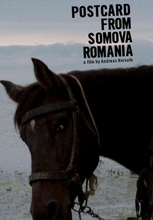 Postcard from Somova, Romania 2012 official movie poster