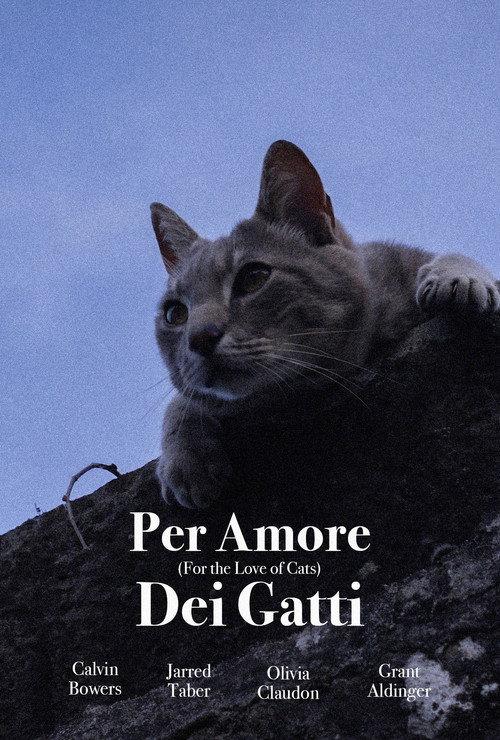 For the Love of Cats 2025 official movie poster