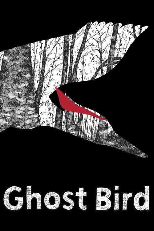 Ghost Bird 2009 official movie poster