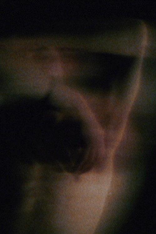 Gestuel 1978 official movie poster
