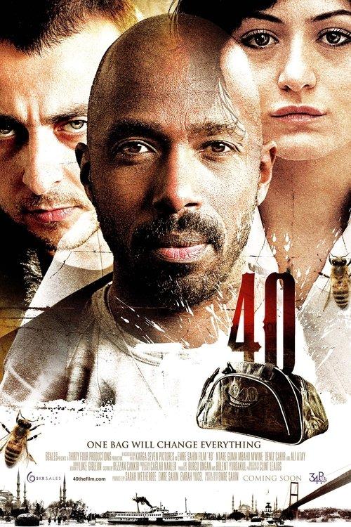 40 2009 official movie poster