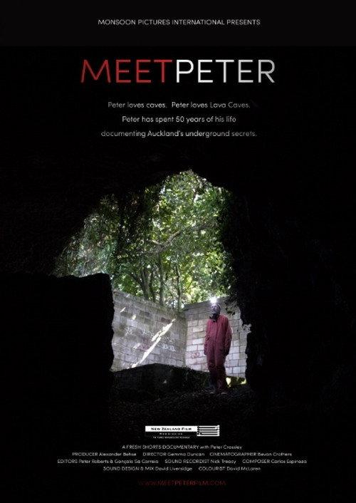 Meet Peter 2016 official movie poster